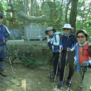 곡성-229 이미지