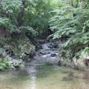 세쌍둥이네 풀꽃세상 | 여름 휴가 곰배령 다녀왔어요~