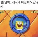 미스터카레