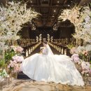 W. My Wedding Day - 결혼식 베뉴/스드메/본식스냅/DVD 등 웨딩 업체 리스트 및 후기