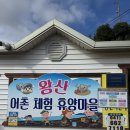 세어도어촌체험휴양마을 | 서산여행 바지락캐기 내돈내산 체험 왕산어촌체험휴양마을 후기