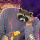 가나베스트빌2차앞 | 홍대 칵테일바 ‘락소울윙’ / 감성 술집 추천 🍸 / 칵테일 4종 후기