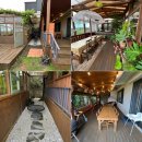 제주화 | [제주도] 제주화, 낭만과 힐링, 여유와 분위기가 함께하는 곳