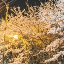 우암동 체육공원 이미지