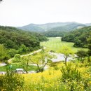 파인밸리 컨트리클럽 이미지