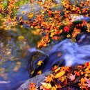 선운사의추억 이미지