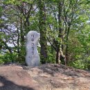 전남 담양에서 순창으로, 다시 남원을 넘나들며 산과 꽃밭으로!~ 이미지