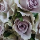 이일주농장 이미지