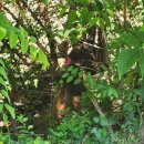 상관편백숲 쉼터 이미지