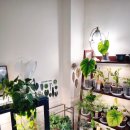 태백산가든 이미지