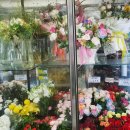 익산 남중동 꽃집 꽃배달은 "꽃보다 아름다운 가시버시" 수호<b>천사</b> <b>플라워</b>