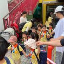 여름소풍 이미지