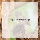 이섭대천로 6 이미지