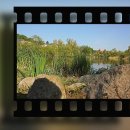 수원-1939 이미지