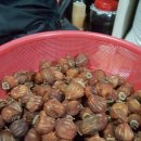 친정집농원