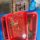 죽도어시장 이미지