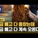 신월 2 이미지