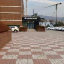 충북대학교 동물병원 | 16살 나의 노견 _ 충북대학교 동물 병원 검진 후기 ( 강아지 폐종양 CT , 수술 결정 고민 )