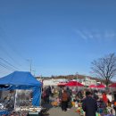 풍물 | 강화풍물시장 오일장 장날 방문후기(장서는날, 주차, 추천품목)