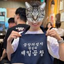 밝은이치과기공소 | 무삭제 라미네이트 투디치과 블랙필름 후기 내돈내산