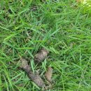 다을어린이집 이미지