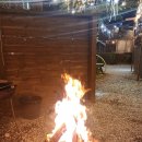 정글펜션 이미지