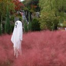 제2회 가을축제 이미지