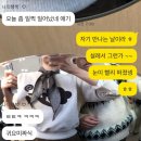 지에스25 사하신동양점 | 176. 콩그레출레이션