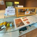 한옥카페 | {컵넛 청주상당산성점}감성 넘치는 한옥카페 후기