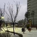 [이천] 특상 등급 한우가 먹고 싶을 때 이천한우