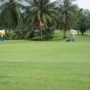 크리스탈 골프클럽 이미지