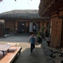 느티나무 민박 이미지