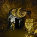 소용농장 이미지