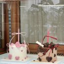 세라케이크 sera cake