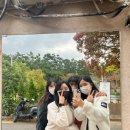 네자매진수성찬 이미지