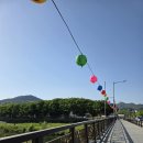 (주)비트리 | 전주 겹벚꽃 막차🌸완산칠봉꽃동산🌸