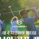 메타아이골프 이미지