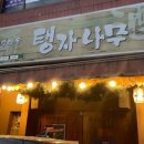 민속마을탱자나무 이미지