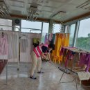 수인치과기공소 이미지