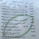 보홀 맛집 보홀비치클럽 BBC 레스토랑 눈부시게 예쁜 두말비치 이용 후기