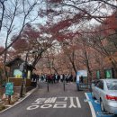 1월13일(화)아침건강걷기.명동성당.남산성곽길.북측순환로.한옥마을.남산도담(김찌찜.부추전) 동동주가 공짜 이미지