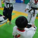 쌍용태권도 이미지