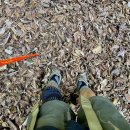 백두대장정 이미지