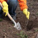 양도농장 이미지