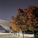 양재대로 156길 이미지