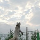 일탈을꿈꾸며 이미지