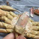 나리네 | 대구 나리네농수산 대게 배달 후기 내돈내산