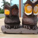 대부도고랫부리섬생태관광마을 이미지