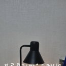 브로우유 티스토리
