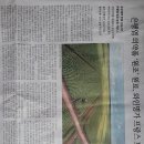 Re: 냄새나는 은행, 알고 보니 영양덩어리 이미지